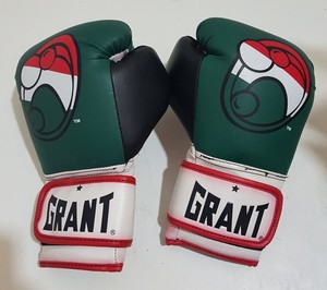 grant worldwide boxing gloves
