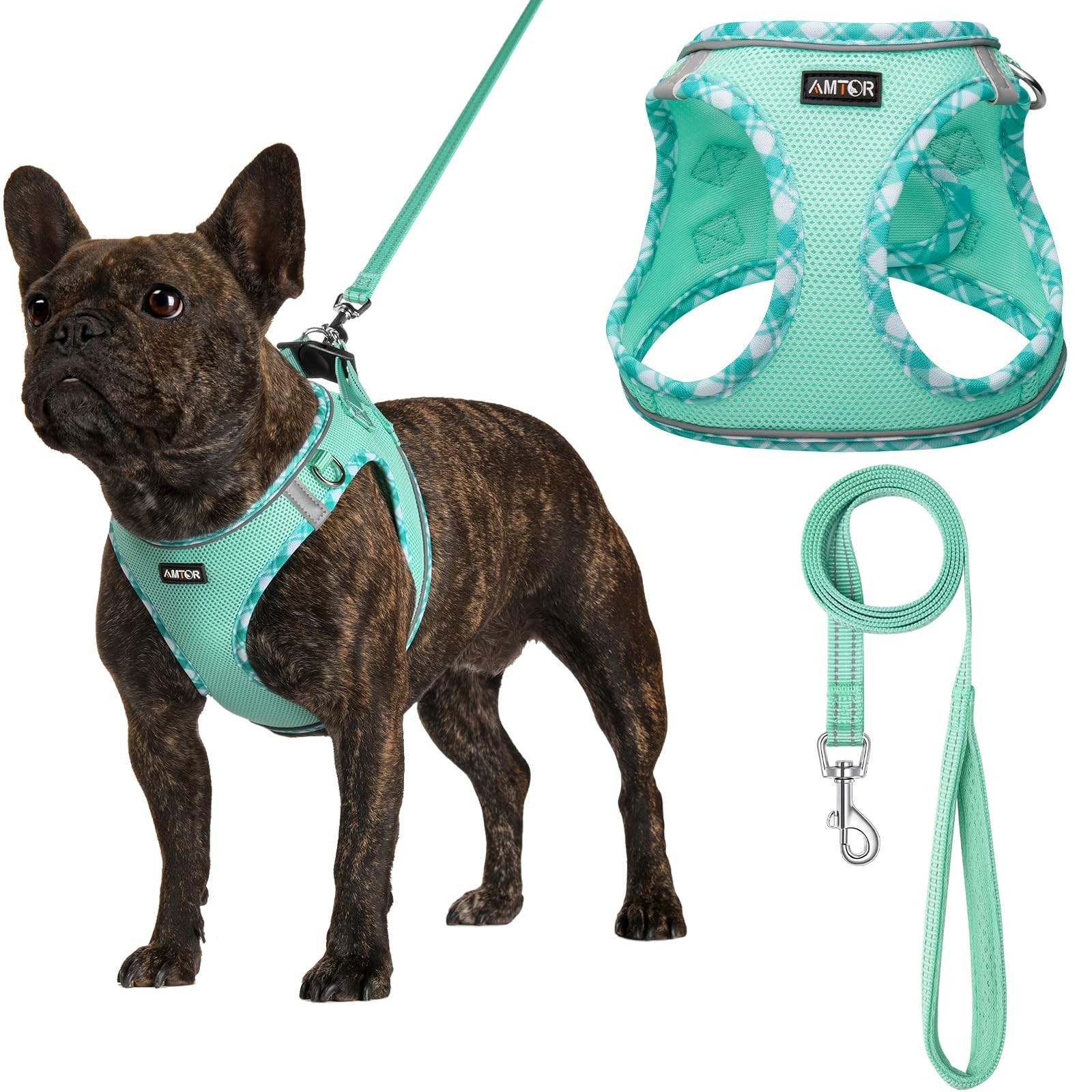 AMTOR Small Dog Harness with Leash Set, No Escape Easy Walk Puppy Harnesses for