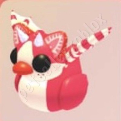 Rubber Ducky Update | Adopt Now
