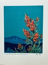 Last one, IMPERFECTIONS- Mid-50's Seriagraph "Indian Paintbrush" by Olive Fell