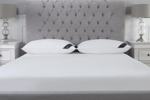 Coppia cuscini piuma d’oca continentale europea 40 cm x 80 cm (16” x 32”) - Foto 2 di 6