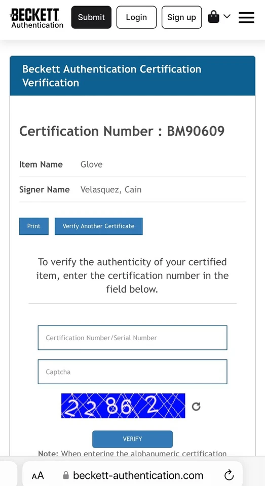Guante Cain Velásquez Brown Pride Firmado UFC Beckett Certificado de Autenticidad BAS IP a Foto 4 de 4