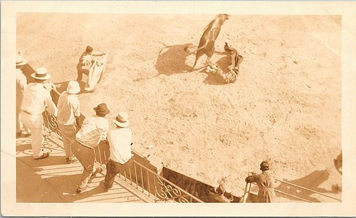 Real Photo Mexican Bull Fight Scene 4 Ebay Real Photo Mexican Bull Fight Scene 4 Ebay