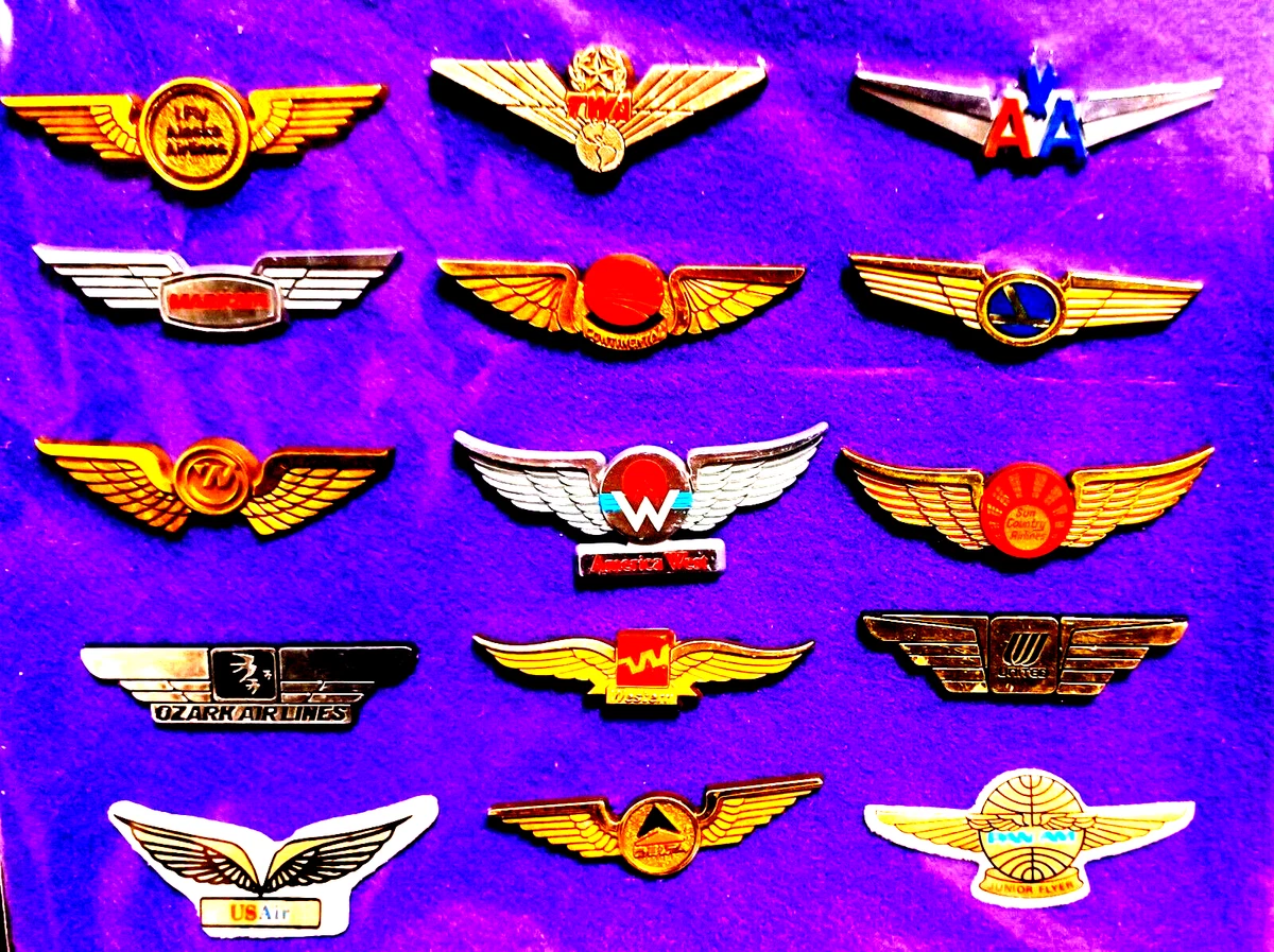 Pan Am Pilot | eBay