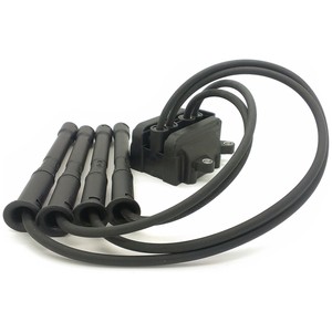 Coil Pack Renault Clio Cost