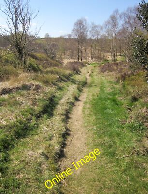 Foto 12x8 Nidderdale Way Warsill Blick in die andere Richtung nach [[[394 c2014