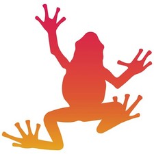 Color Frog Sticker Orange Pet Rainforest Amphibian Peace Groovy Hippie 4 Inch