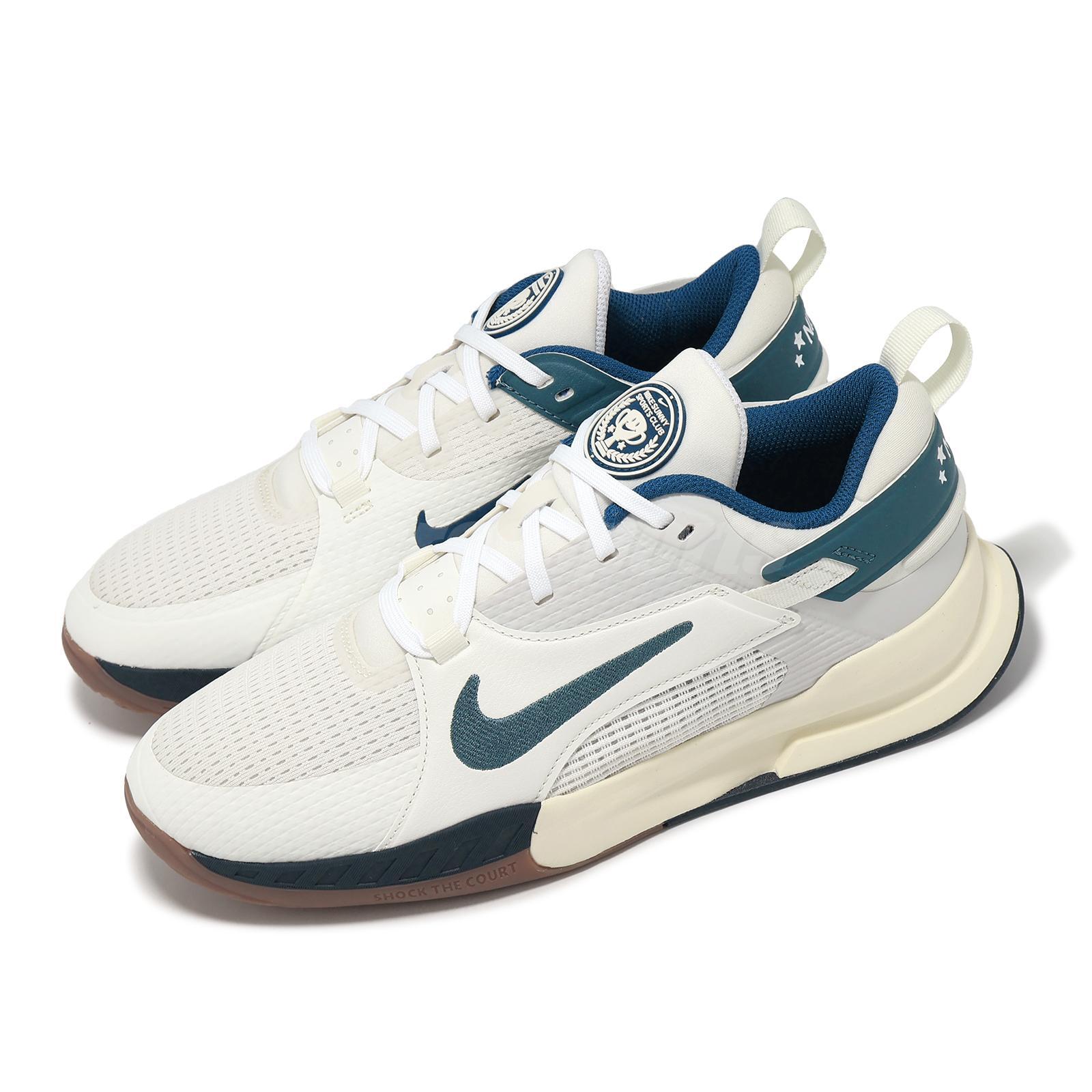 Кроссовки для баскетбола Nike Crosscourt GS Sail Bicoastal Kids Youth Hoopers HM3715-131