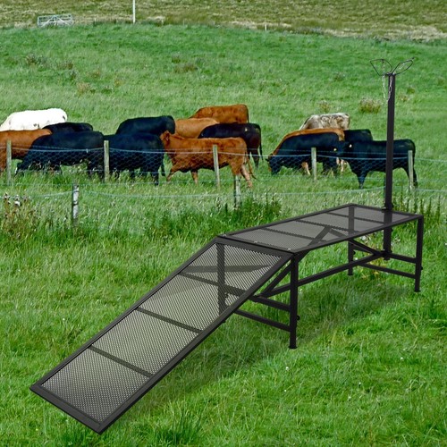 Metal Trimming Stand for Sheep Goat Milking Stand with a Ramp Livestock ...