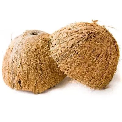 Coconut Shell Halves Eco friendly Ceylon 100% Natural pure
