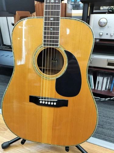 Morris W-60 Acoustic Guitar