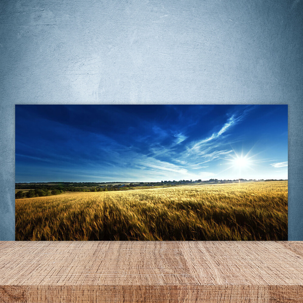 Paroi de cuisine en verre anti-taches 100x50 motif ciel et nature