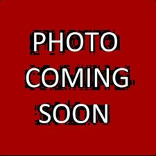 Lauren Ralph Lauren Women's Down/feather Long Hooded Grey Coat S