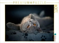 "Calvendo Puzzle An Image From The \"Cuddly Tigers\" Calendar – British Shorthair /"