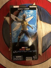 Marvel Legends WASP Ant-Man & THE WASP Quantumania 6  Figure Cassie Lang NEW