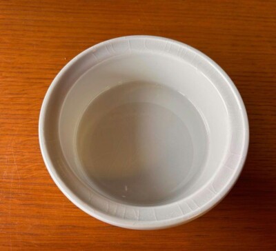 Finel x Arabia Vegeta Ceramic bowl Designed by Esteri Tomula 5.7 x 