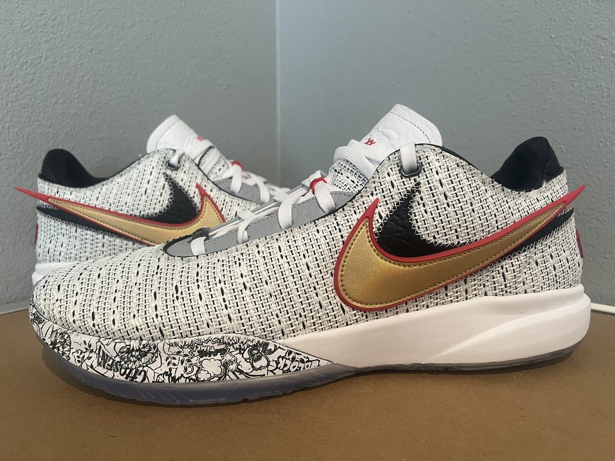 Nike Lebron James XX 