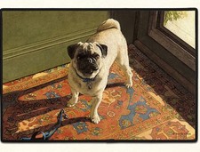 DOORMAT--18 X 27--Subtle Hint PUG, non-skid rubber backed,