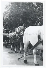 Bad Tölz 1951-Gautrachtenfest-Coachman Raftsman-Old Photo 1950s