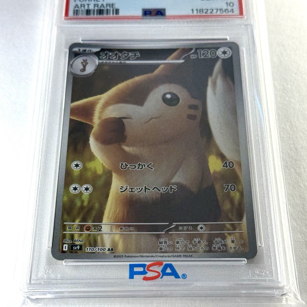 PSA 10 Furret AR 110/100 Battle Partners sv9 2025 Pokemon Card
