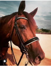 PATENT LEATHER DOUBLE DRESSAGE BRIDLE & REINS WHITE PADDED NB & CRYSTAL BROWBAND