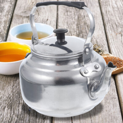 Heat Water Teapot with Filter Mesh Farmhouse Kettle Stovetop Office  UK