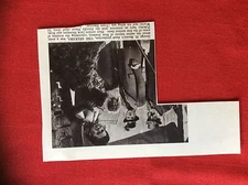 m2e ephemera 1950s film picture jack hawkins inia te wiata tony erstich