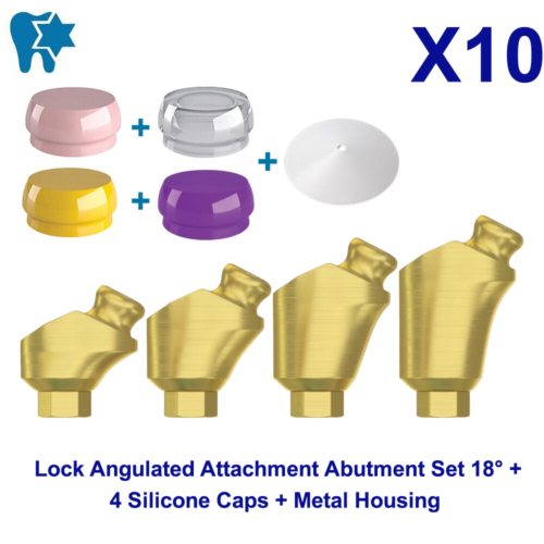 10 Dental Fixture DSI Lock Angulated Attachment Overdenture Adapter Head Set 18° - Afbeelding 1 van 8