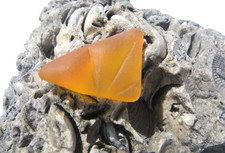 Sea Glass, Beautiful Shaped Orange and Yellow with a Pressed Line Pattern