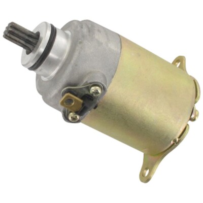 Anlasser Elektrostarter Chinaroller Scooter Motorroller 4 Takt 125ccm Inspektion