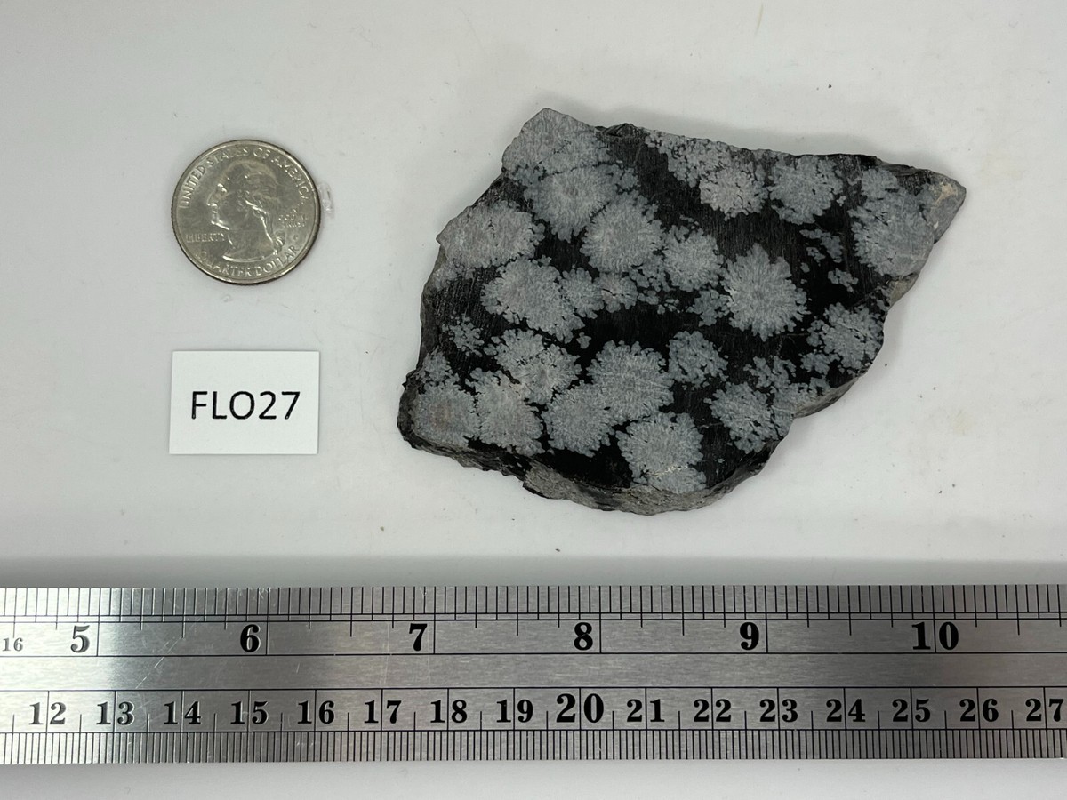 Flower Obsidian (large snowflake) Slab Cabbing Carving Chakra