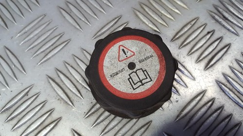 95VB8100AE Deckel Ausgleichsbehälter Kühler 95VB-8100-AE Ford T DE442539-13