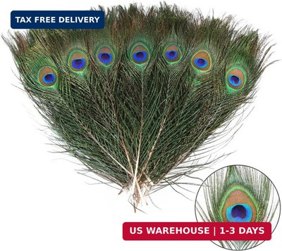 THARAHT 12pcs Peacock Feather Natural in Bulk 10-12 inch 25-30cm Small EyeFor Cr