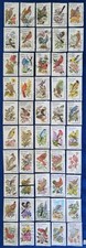US Stamps 1982 State Birds and Flowers 20 Cent Complete Used Set of 50 1953-2002