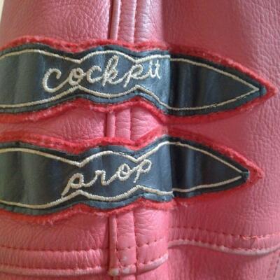 Avirex/Men'S/Campions Red Leather | eBay