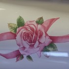 Picture 5 of 12