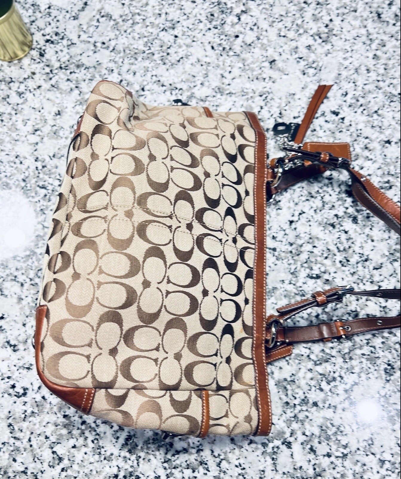 coach-logo-handbag-gem
