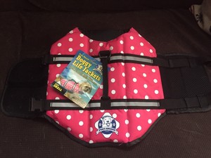 paws aboard life jacket