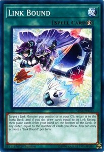 Link Bound - SDSB-EN030 - Common - 1st Edition x3 - Near Mint