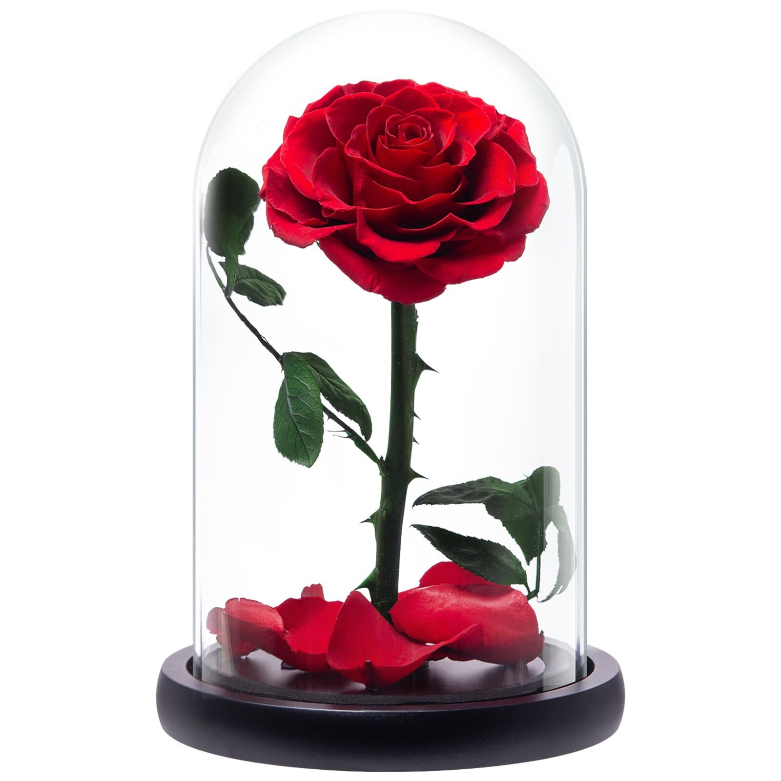 Valentines Day Gifts for Her Preserved Rose,Eternal Flower in Glass Dome Birt...