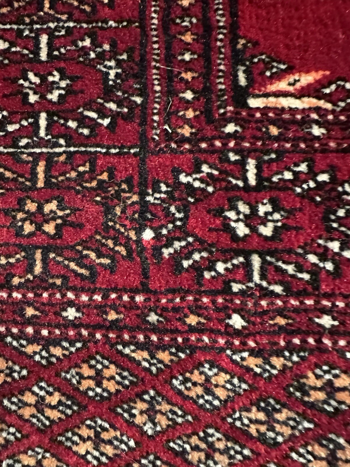 Picture 23 of 23