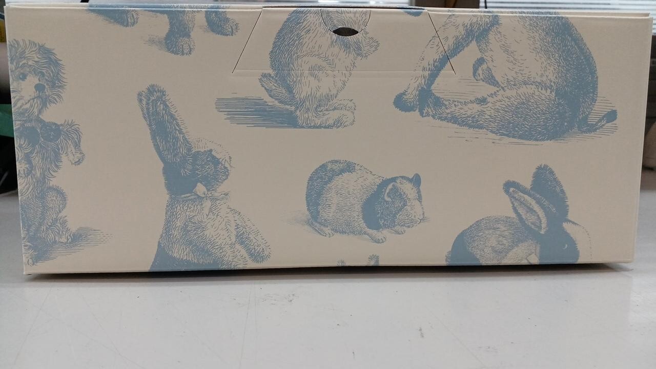 Picture 5 of 11