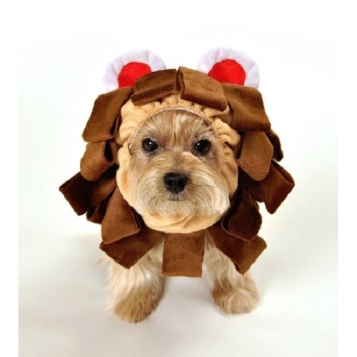 Haustier Halloween Oktoberfest Weihnachten Karneval Märchen Hund Kostüme - Bild 9 von 25