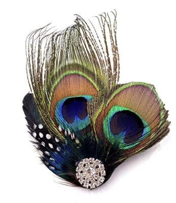 Aliotech Beautiful Butterfly Peacock Feather Hair Clip Pins with 