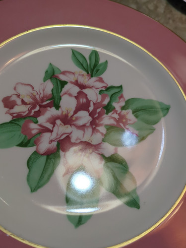 Greenbrier Resort Hotel Homer Laughlin Newell, WV 10.5" Dinner China Plate RARE - Bild 2 von 8
