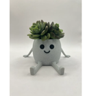 Funny Cute Plant Pots Bundle Succulent Planters Decorative Home Pots Set