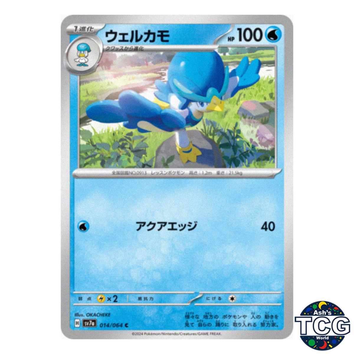 Quaxwell C 014/064 sv7a Paradise Dragona Pokemon Card Japanese