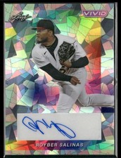 2023 Leaf Vivid #BA-RS1 Royber Salinas Mojo Gray AUTO #9/9