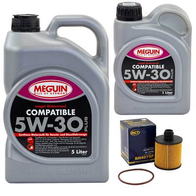 Motoröl Set 5W-30 Plus Meguin 6 Liter + Ölfilter für Fiat Freemont Ducato Bus