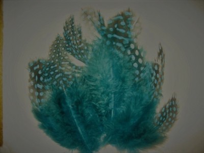 CRAFT-SPECIAL OCCASIONS-9 x Asst(3-7'')Teal Blue/Green Spotted Chicken Feathers